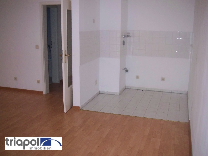 Gemütliche 1-Zi-Wohnung mit Terrasse, Laminatboden und Tiefgaragenstellplatz am Stadtrand von Dresden.