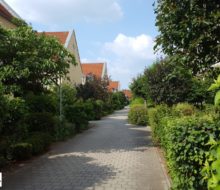 Kleine 2-Zi.-Wohnung mit Terrasse und kl. Gartenanteil in ruhiger und grüner Lage.