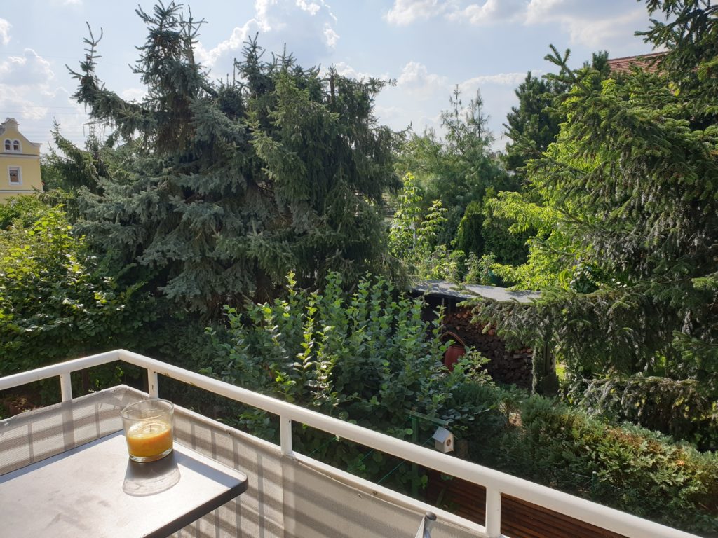Gemütliche und ruhig gelegene 2-Zi-Whg. mit West-Balkon und Blick ins Grüne.