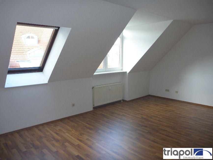 Großzügige 1-Zi-Whg. mit Laminatboden und Einbauküche in ruhiger Stadtrandlage.