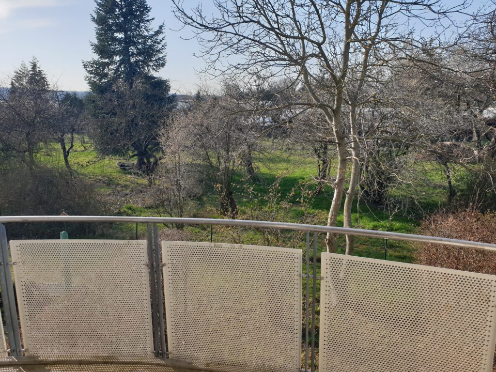 Ruhig gelegene 1-Zi-Wohnung mit West-Balkon und Blick ins Grüne in Coswig.
