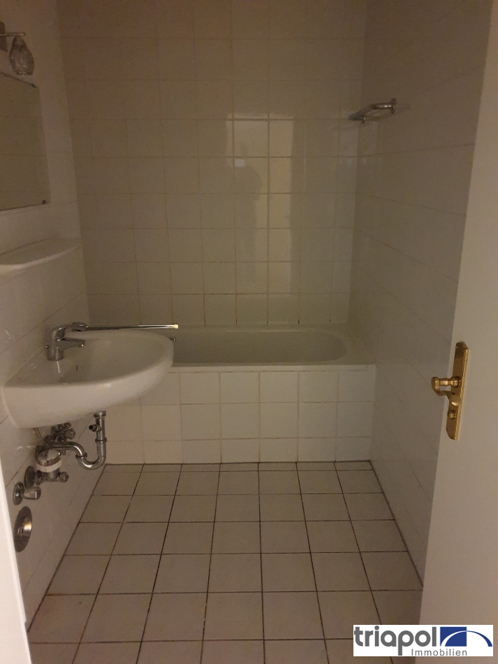 2-Zi-Dachgeschosswohnung in ruhiger und grüner Lage, am Stadtrand von Dresden.