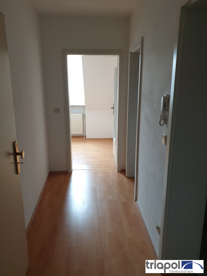 2-Zi-Dachgeschosswohnung in ruhiger und grüner Lage, am Stadtrand von Dresden.