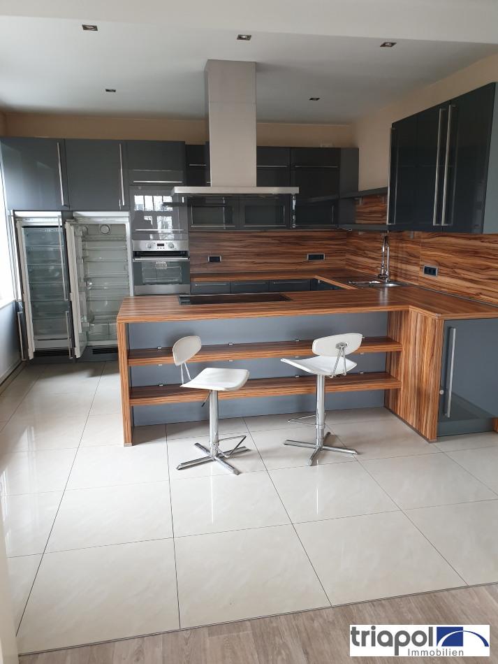 Individuelle Maisonette-Wohnung mit hochwertiger Einbauküche, Kamin, Bad und WC in Strehlen.