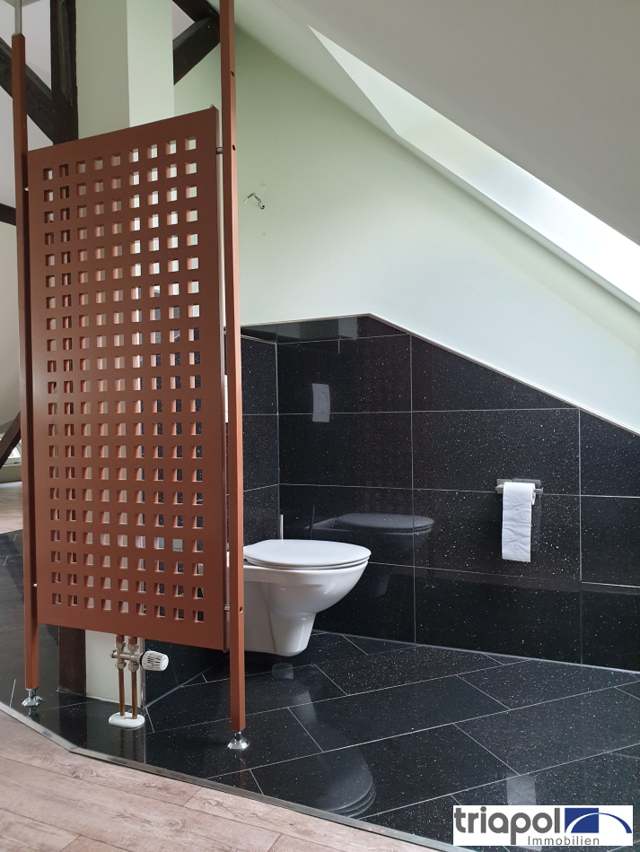 Individuelle Maisonette-Wohnung mit hochwertiger Einbauküche, Kamin, Bad und WC in Strehlen.
