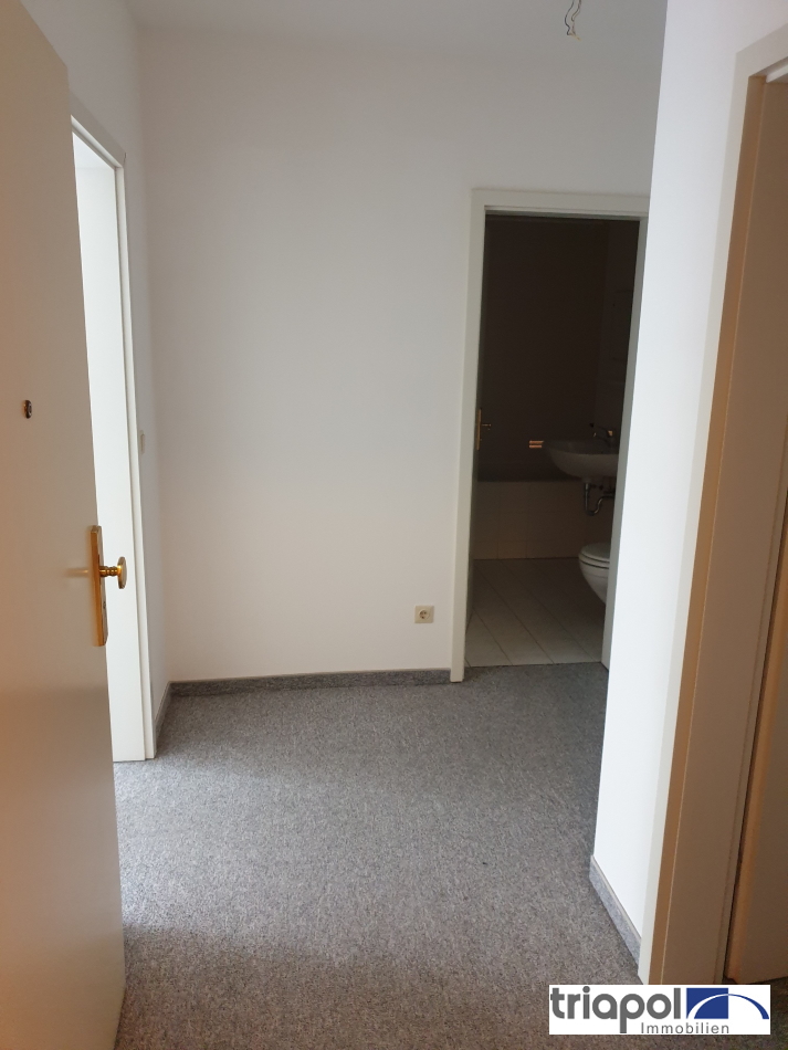 Vermietete 1-Zi-Whg. mit Balkon in grüner und ruhiger Stadtrandlage von Dresden.