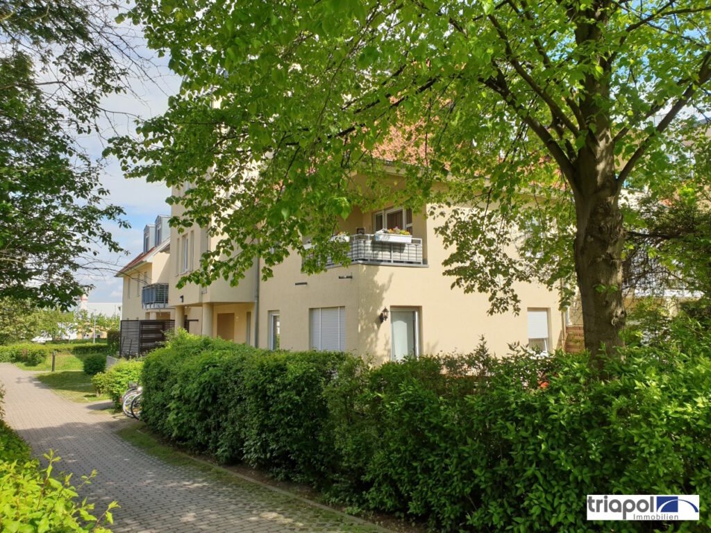1-Zi-Whg. mit Terrasse und Gartenanteil in grüner und ruhiger Stadtrandlage von Dresden.