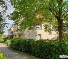 1-Zi-Whg. mit Terrasse und Gartenanteil in grüner und ruhiger Stadtrandlage von Dresden.