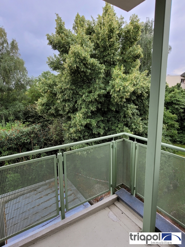 Schöne und helle 2-Zi-Wohnung für Eigennutzer mit 3 Balkonen im Dresdner Stadtteil Leubnitz-Neuostra.