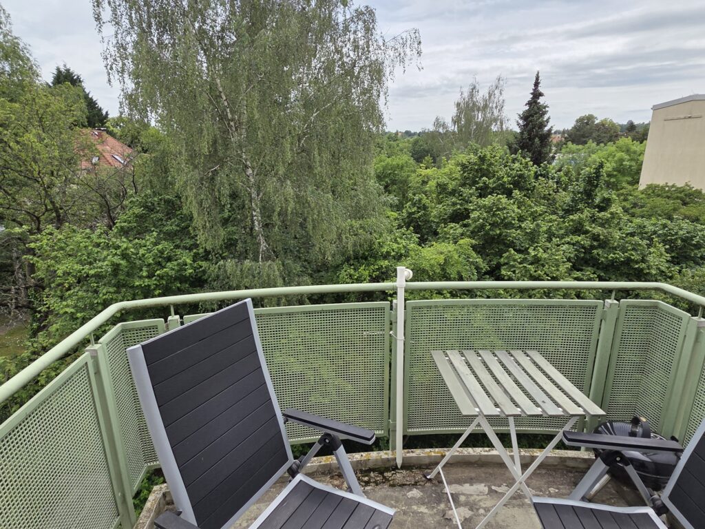 Gemütliche und helle 1-Zi-Wohnung mit Balkon im Dresdner Stadtteil Leubnitz-Neuostra.