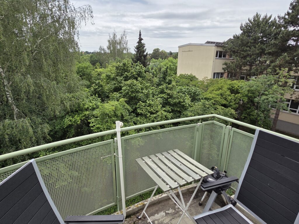 Gemütliche und helle 1-Zi-Wohnung mit Balkon im Dresdner Stadtteil Leubnitz-Neuostra.