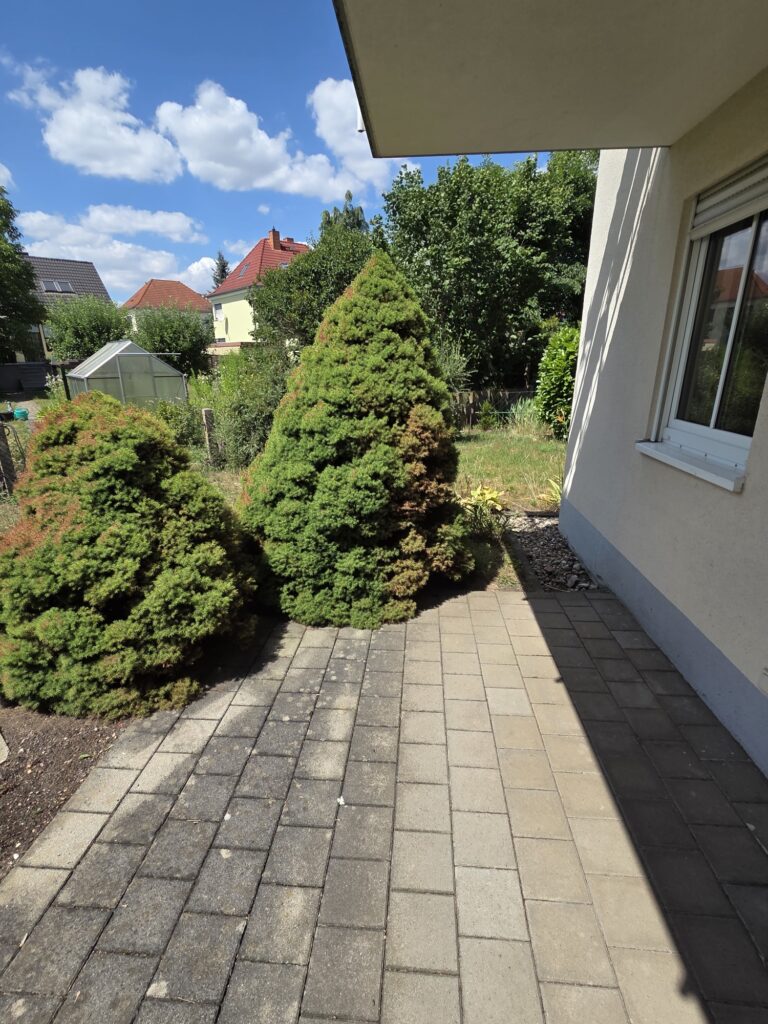 Helle und gemütliche 2-Zi-Whg. mit Terrasse und Gartenanteil in ruhiger und grüner Lage von Coswig.